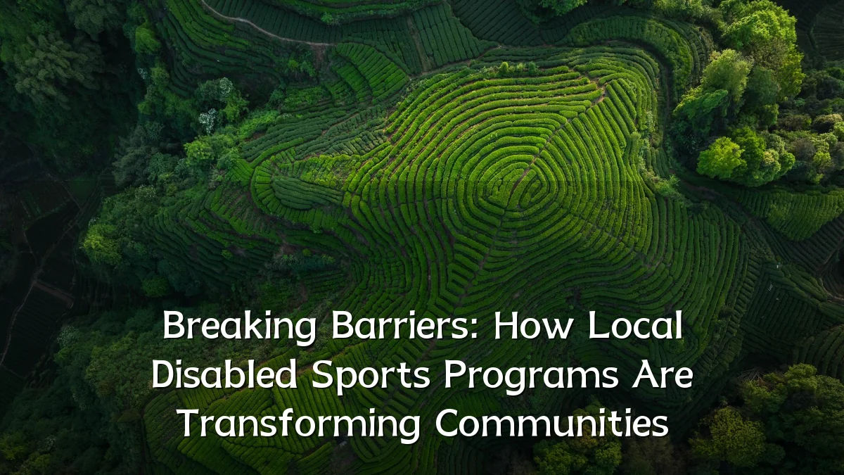 Breaking Barriers: How Local Disabled Sports Programs Are Transforming Communities