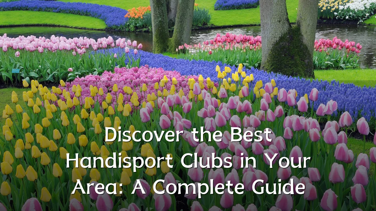 Discover the Best Handisport Clubs in Your Area: A Complete Guide