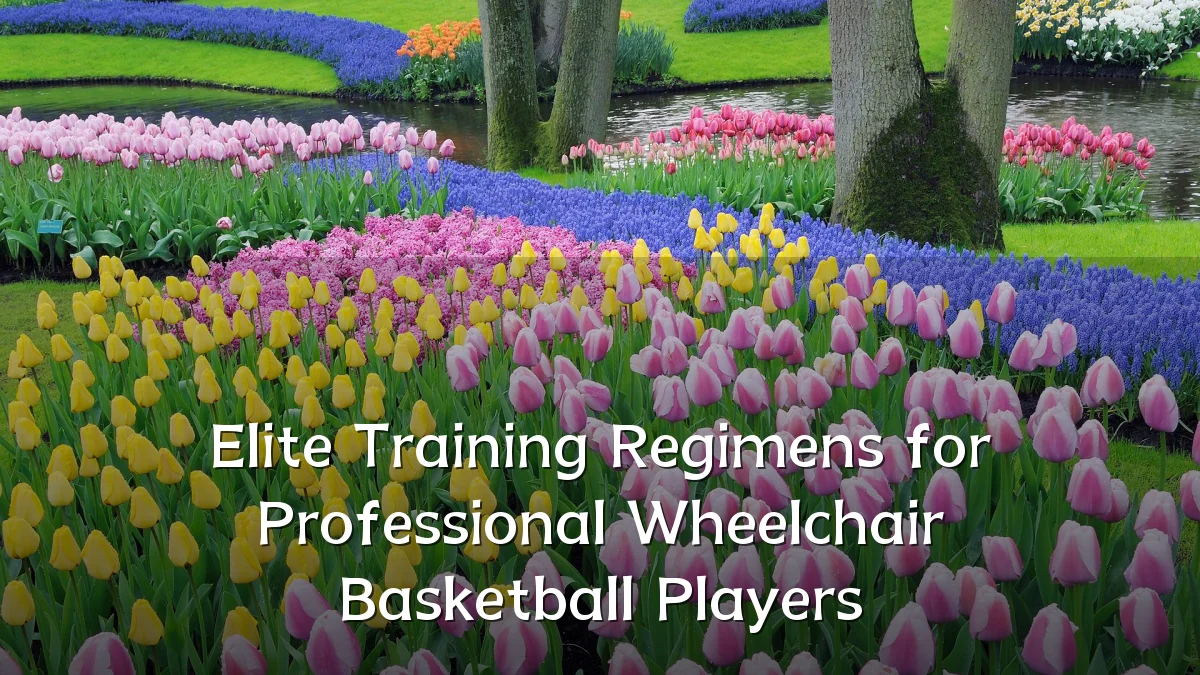 Elite Training Regimens for Professional Wheelchair Basketball Players