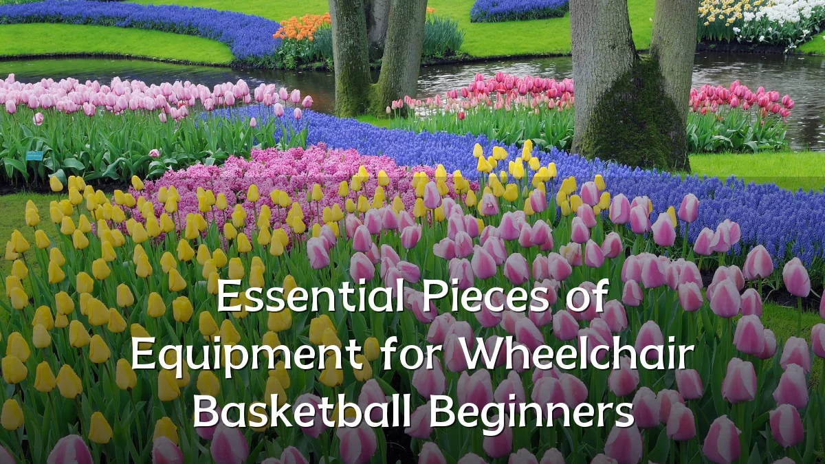 Essential Pieces of Equipment for Wheelchair Basketball Beginners