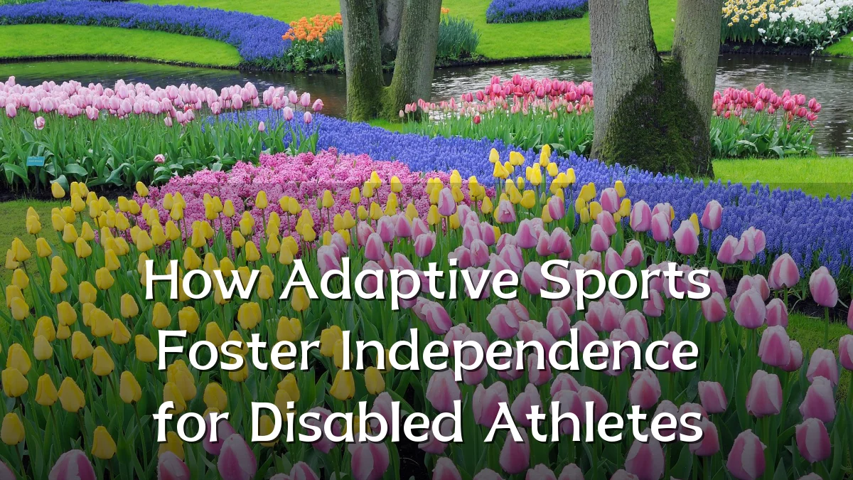How Adaptive Sports Foster Independence for Disabled Athletes