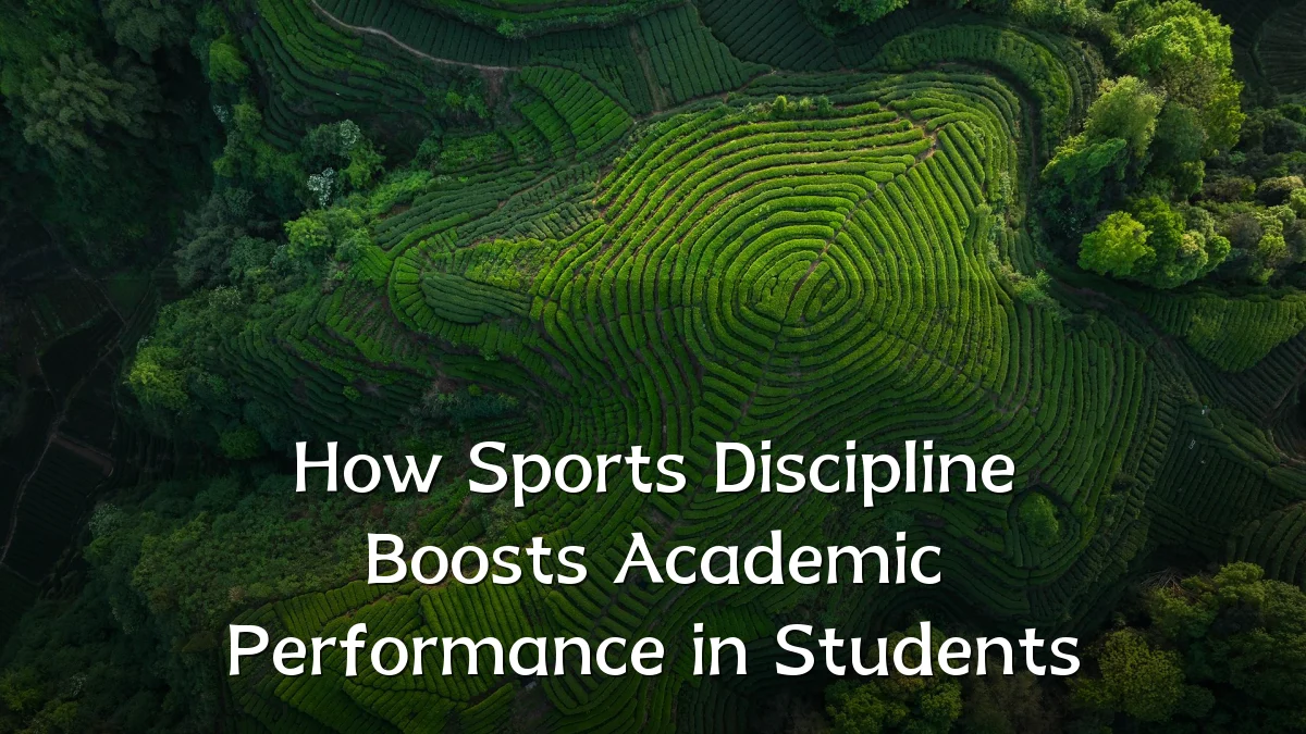 How Sports Discipline Boosts Academic Performance in Students
