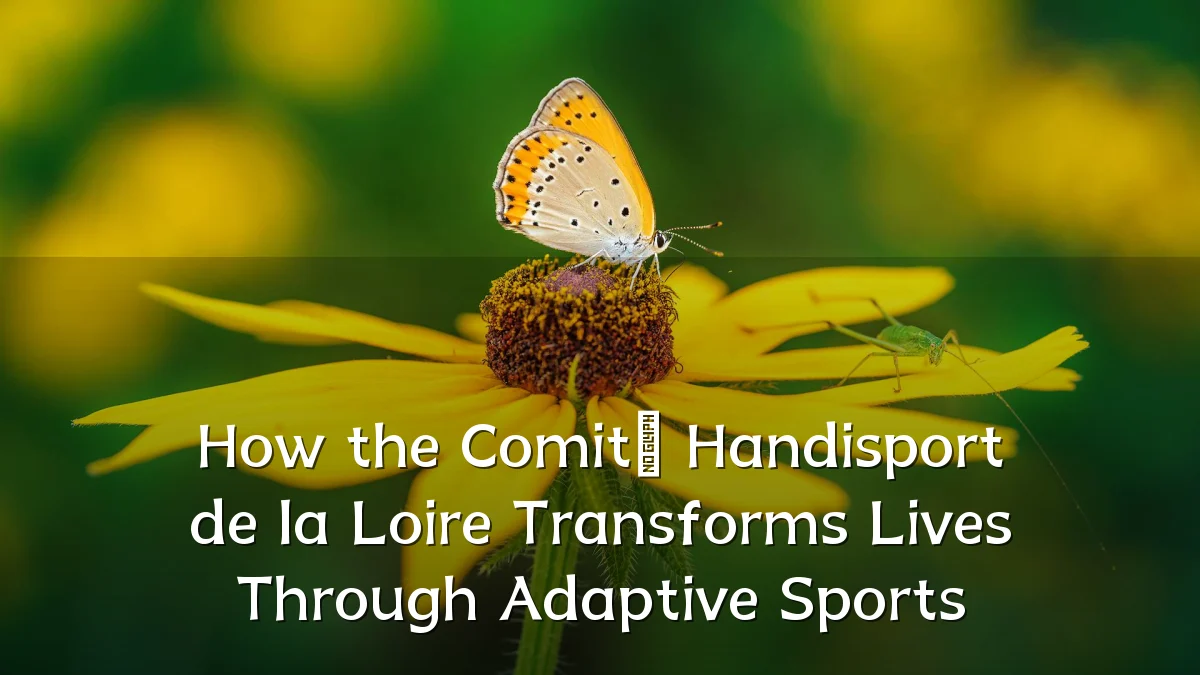 How the Comité Handisport de la Loire Transforms Lives Through Adaptive Sports