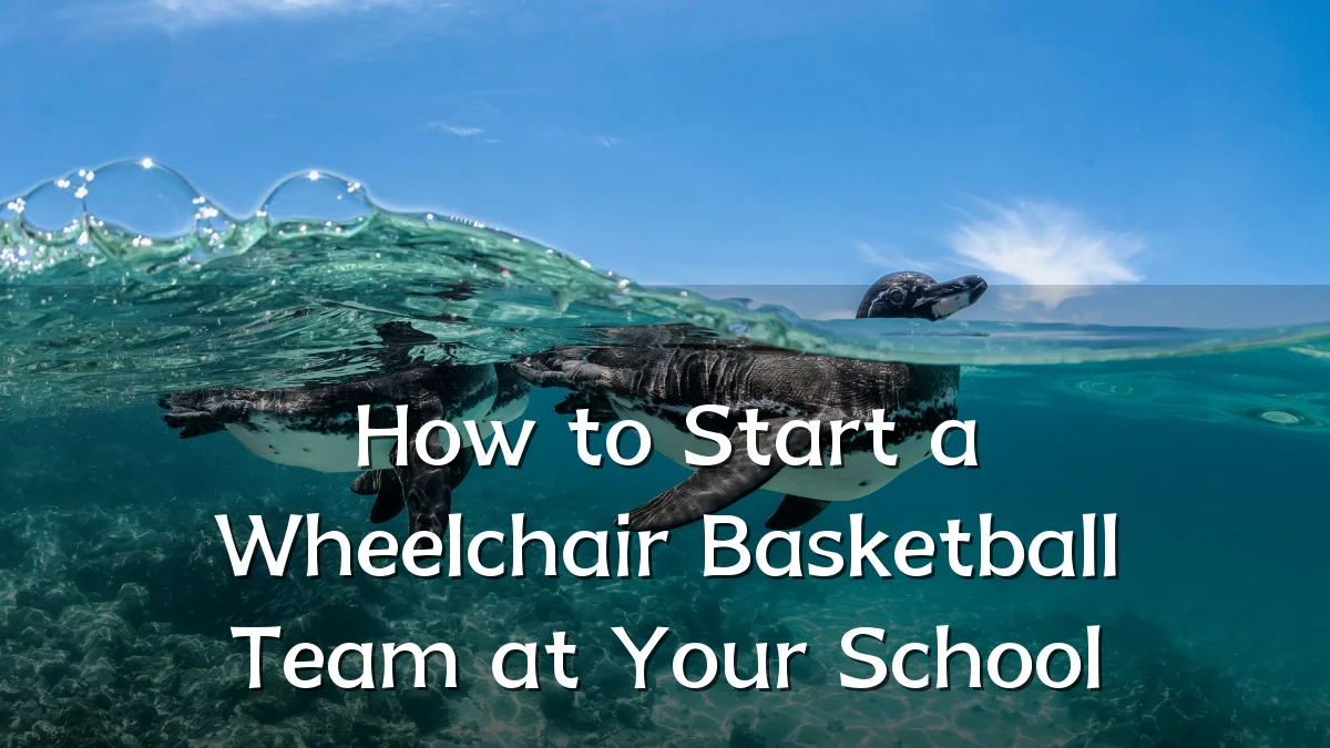 How to Start a Wheelchair Basketball Team at Your School