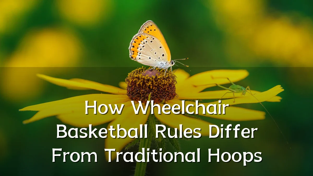 How Wheelchair Basketball Rules Differ From Traditional Hoops
