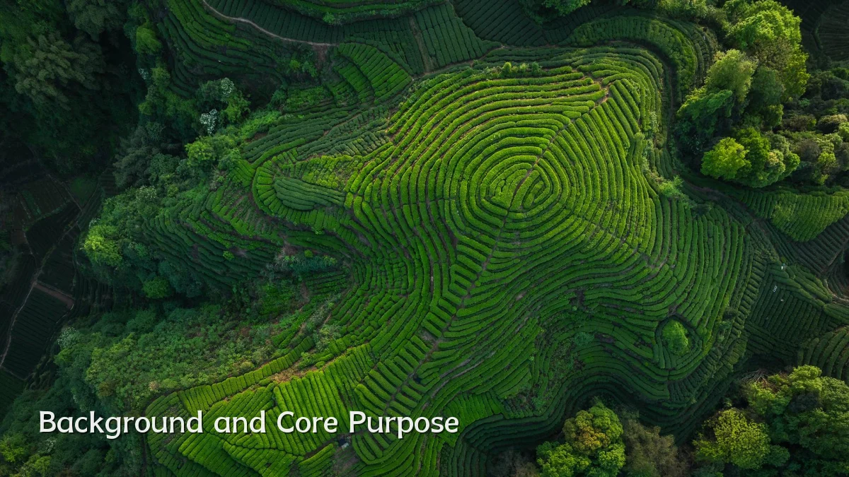 Background and Core Purpose