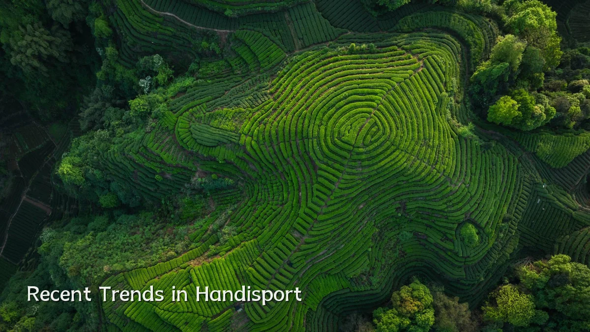 Recent Trends in Handisport