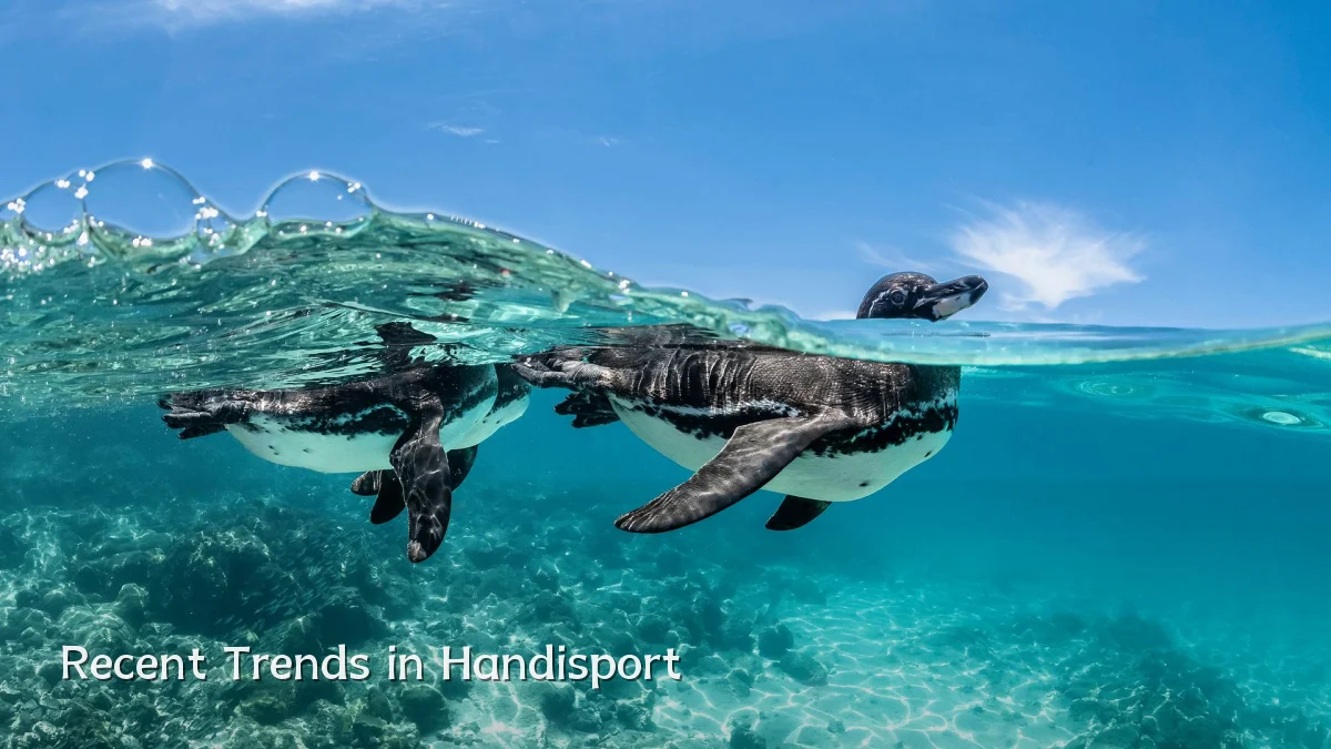 Recent Trends in Handisport