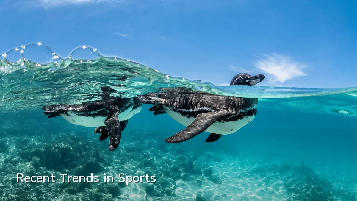 Recent Trends in Sports