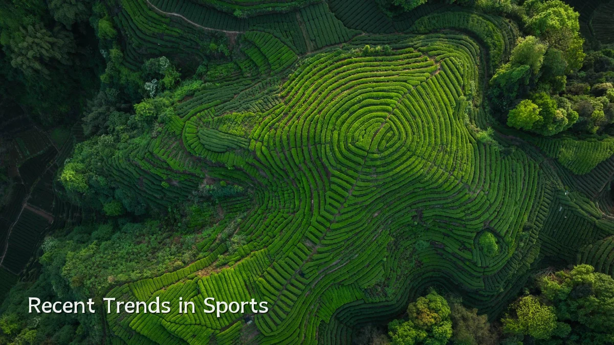 Recent Trends in Sports