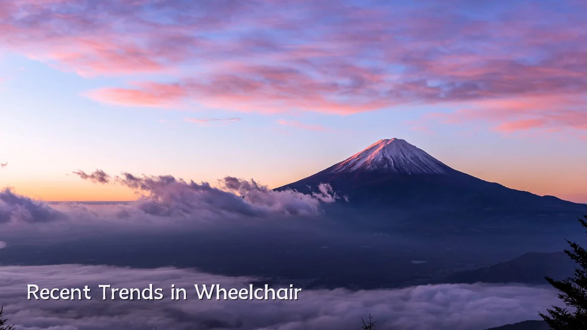 Recent Trends in Wheelchair