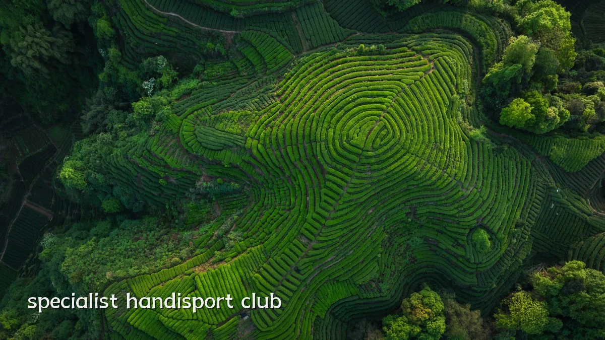 specialist handisport club