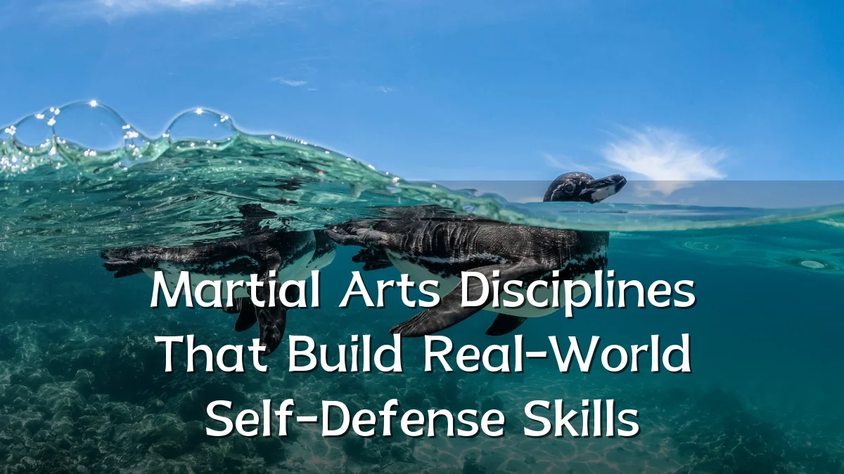 Martial Arts Disciplines That Build Real-World Self-Defense Skills