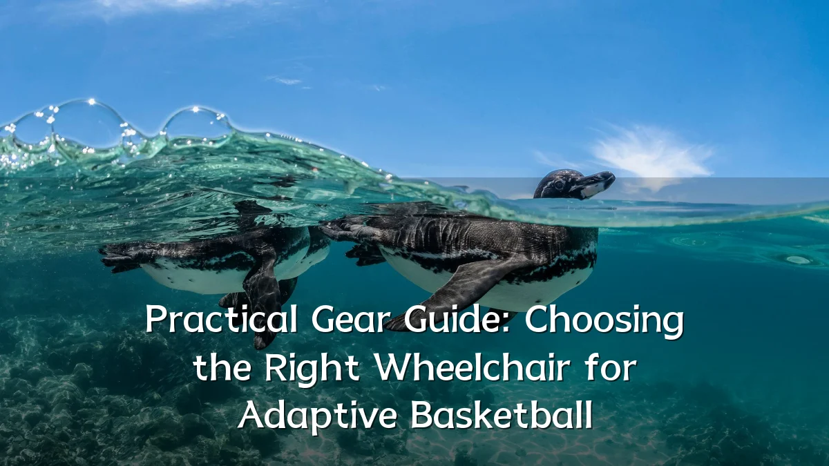 Practical Gear Guide: Choosing the Right Wheelchair for Adaptive Basketball