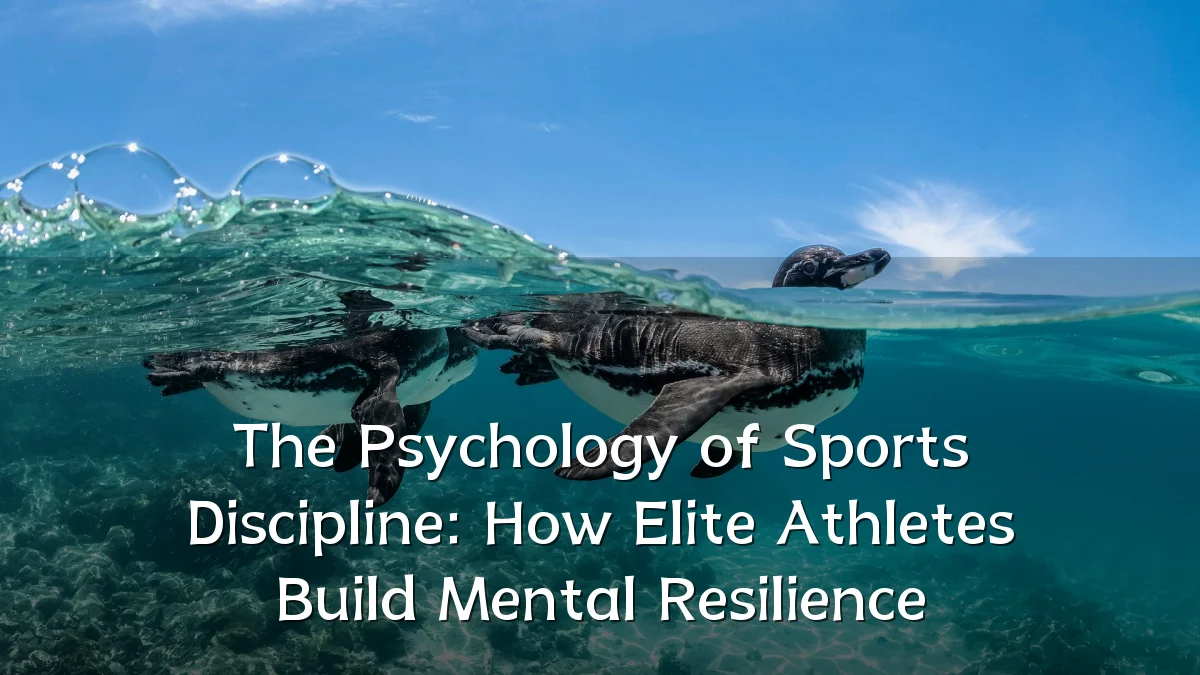 The Psychology of Sports Discipline: How Elite Athletes Build Mental Resilience