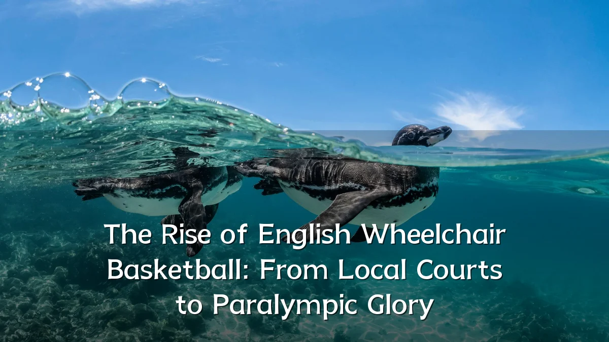The Rise of English Wheelchair Basketball: From Local Courts to Paralympic Glory