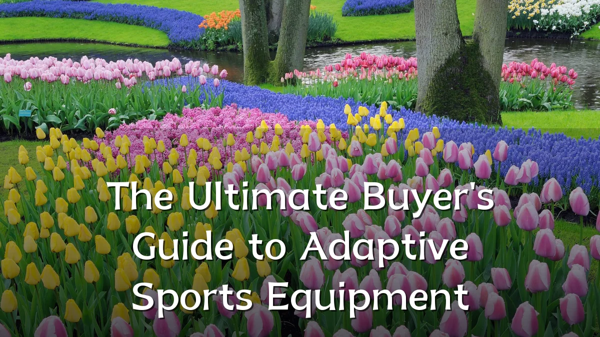 The Ultimate Buyer's Guide to Adaptive Sports Equipment