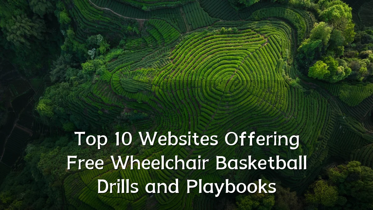 Top 10 Websites Offering Free Wheelchair Basketball Drills and Playbooks