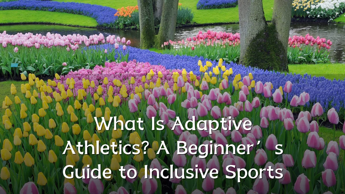 What Is Adaptive Athletics? A Beginner’s Guide to Inclusive Sports