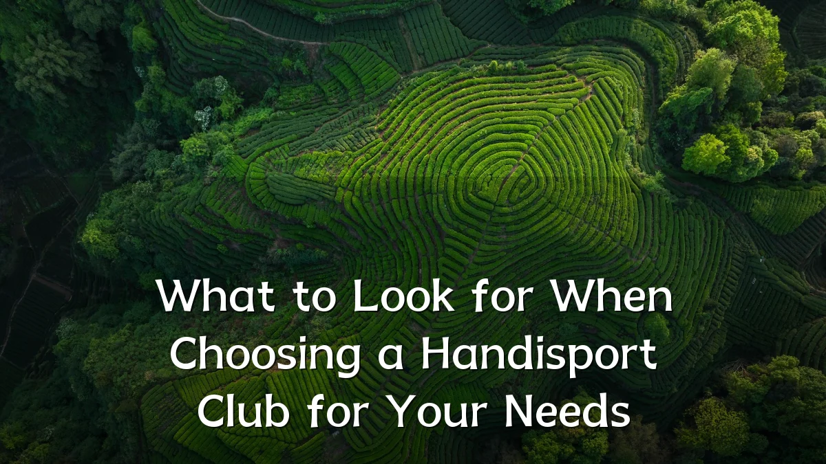 What to Look for When Choosing a Handisport Club for Your Needs