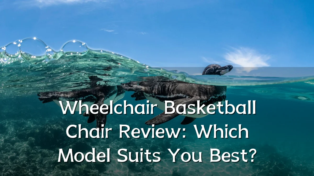 Wheelchair Basketball Chair Review: Which Model Suits You Best?