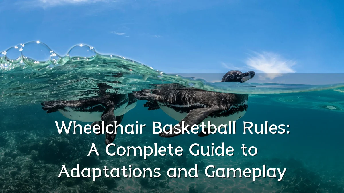 Wheelchair Basketball Rules: A Complete Guide to Adaptations and Gameplay