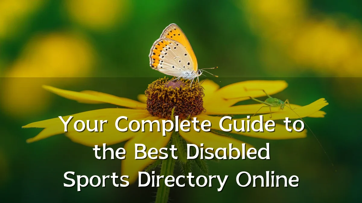 Your Complete Guide to the Best Disabled Sports Directory Online