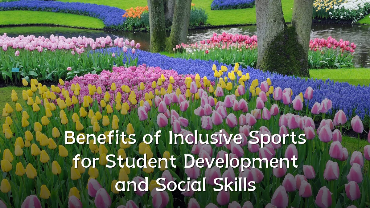 Benefits of Inclusive Sports for Student Development and Social Skills