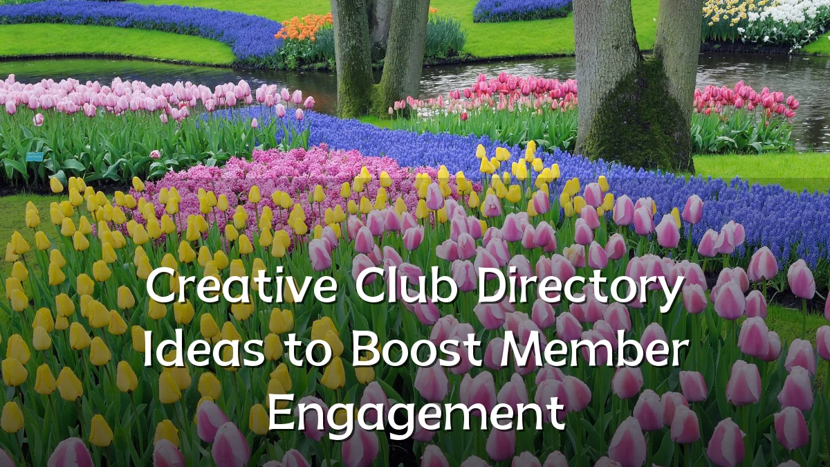 Creative Club Directory Ideas to Boost Member Engagement