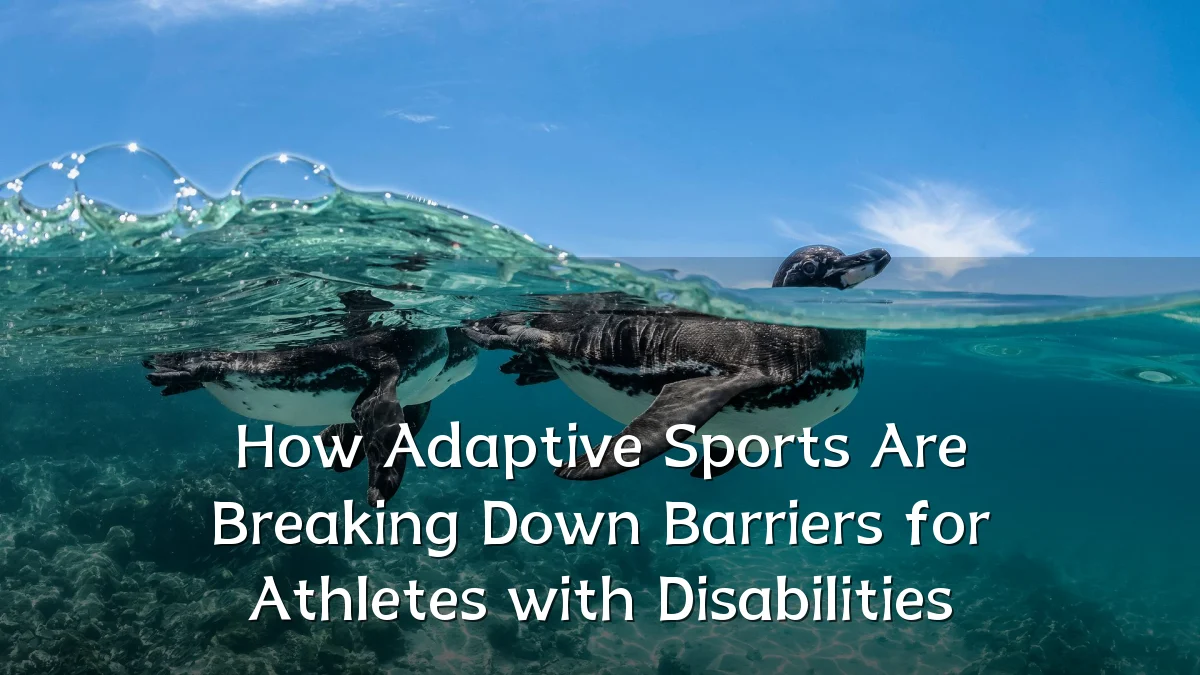 How Adaptive Sports Are Breaking Down Barriers for Athletes with Disabilities
