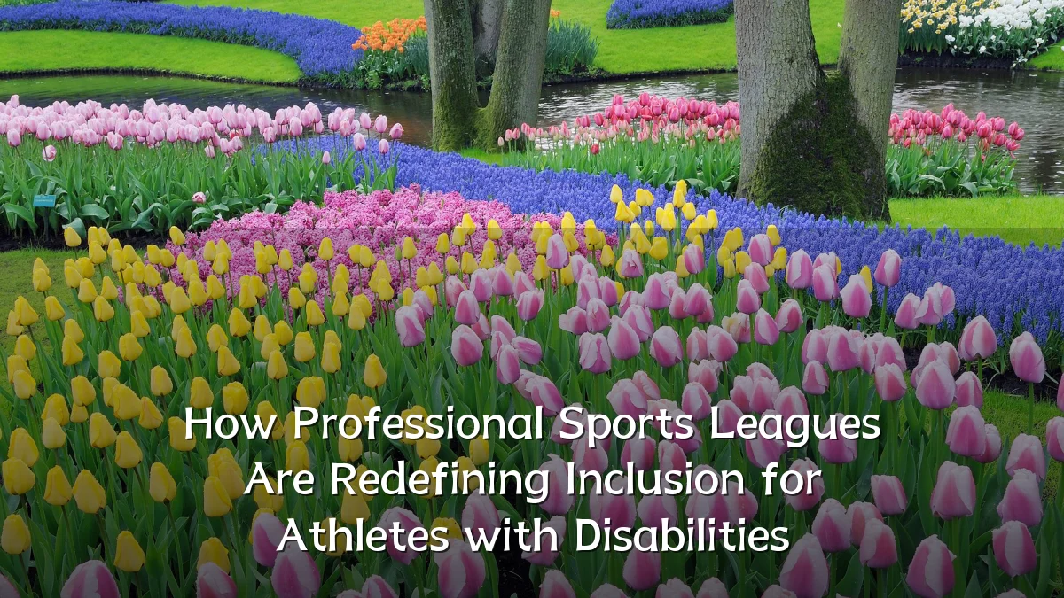 How Professional Sports Leagues Are Redefining Inclusion for Athletes with Disabilities