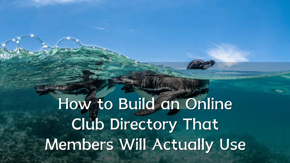 How to Build an Online Club Directory That Members Will Actually Use