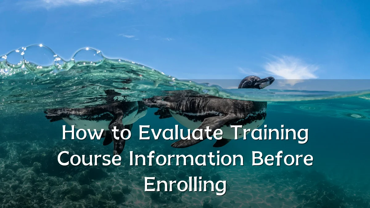 How to Evaluate Training Course Information Before Enrolling
