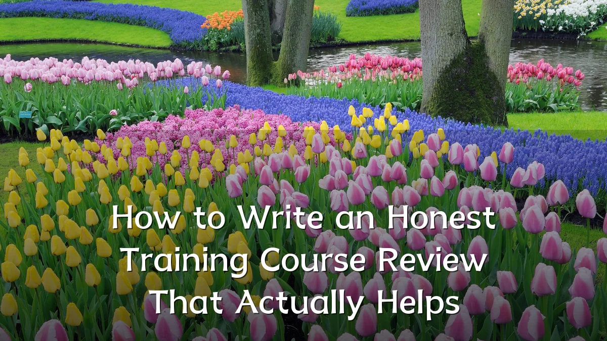 How to Write an Honest Training Course Review That Actually Helps