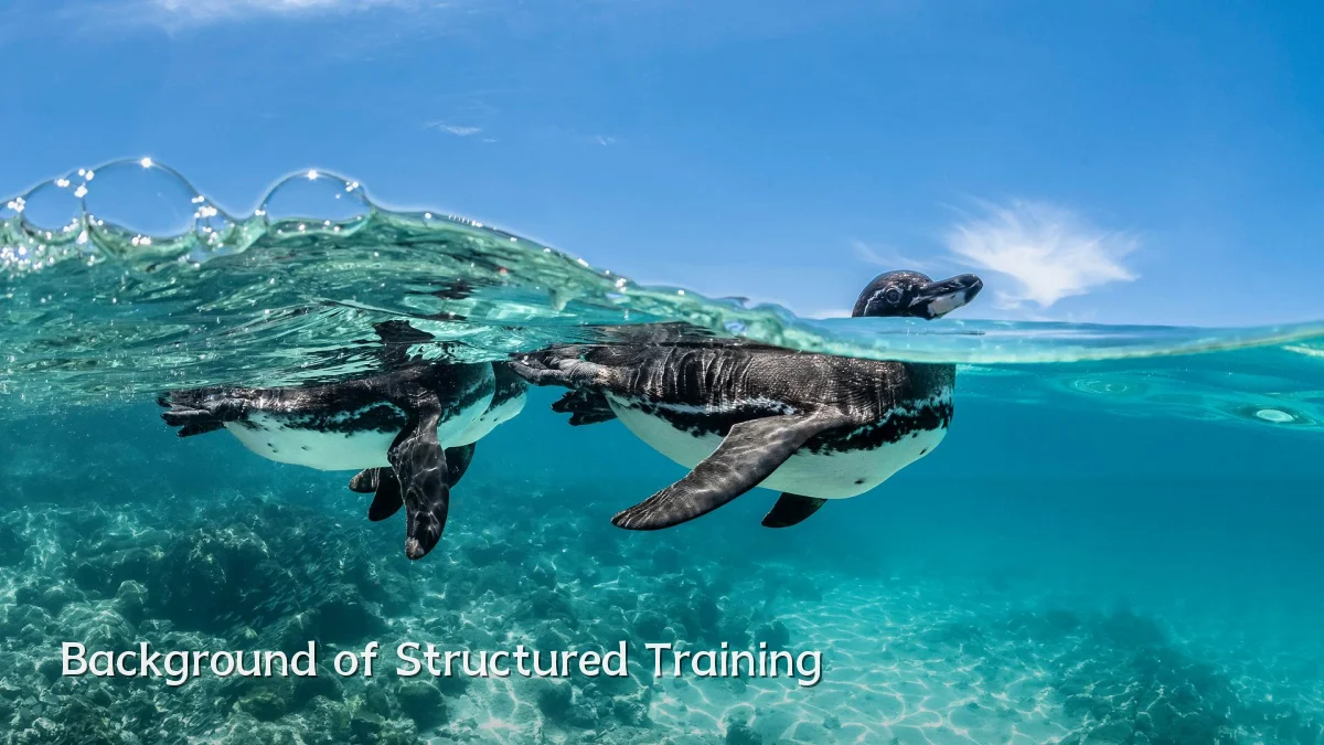 Background of Structured Training
