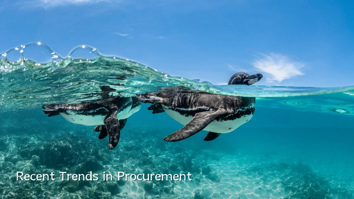 Recent Trends in Procurement