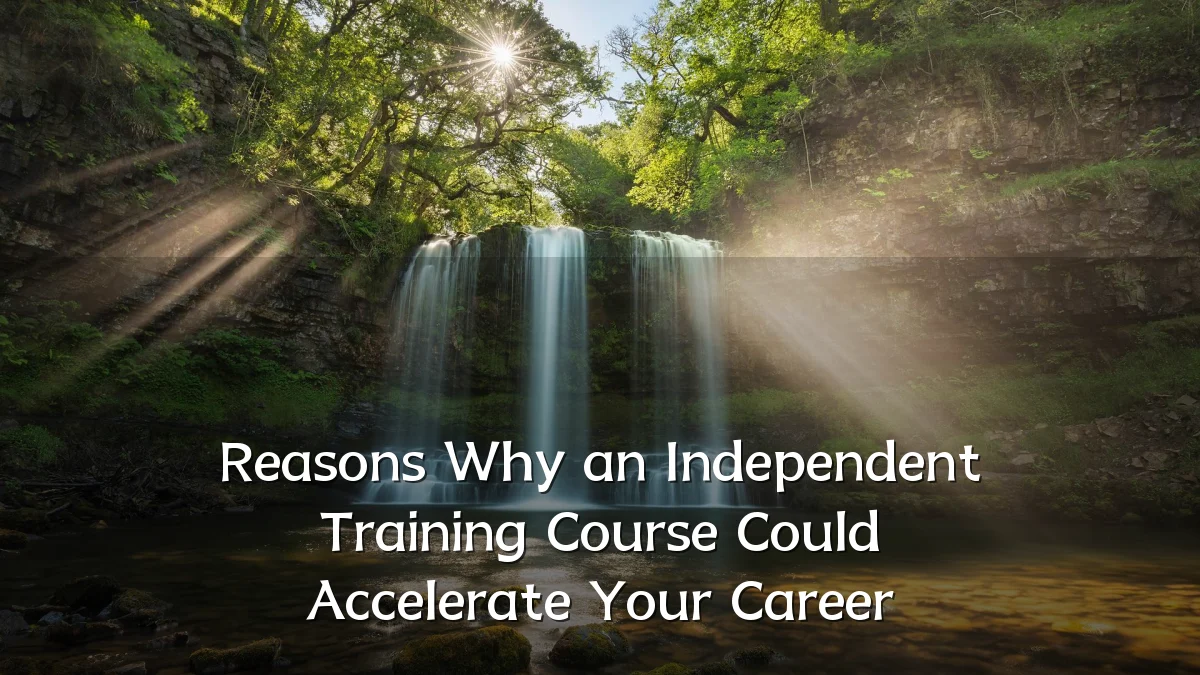 Reasons Why an Independent Training Course Could Accelerate Your Career