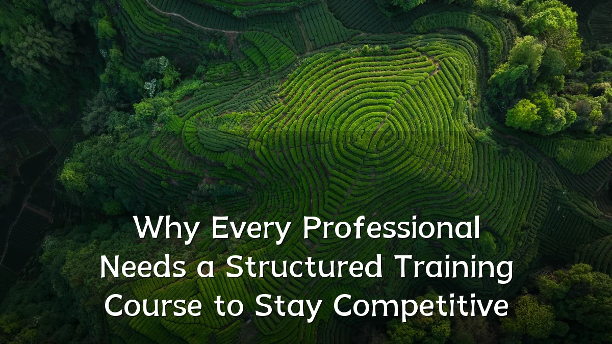 Why Every Professional Needs a Structured Training Course to Stay Competitive