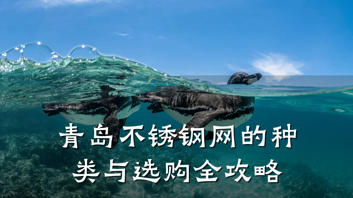 青岛不锈钢网的种类与选购全攻略